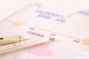 【最新版】日本製の月経カップ(ローズカップ)が発売されていたので使ってみた!